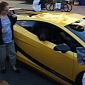 Bear Riding in the Yellow Lamborghini Is a Prank