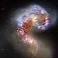 Beautiful Antennae Galaxies Caught Merging in New Hubble Image