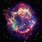 Beautiful Supernovae Cradle Rocky Planets Formation