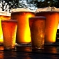 Beer Improves Blood Flow, Makes the Arteries More Flexible