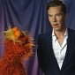 Benedict Cumberbatch Does Adorable Sesame Street Cameo – Video