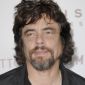 Benicio del Toro, Kimberly Stewart Expecting First Child