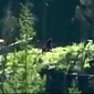 Bigfoot Captured on Camera in Canadian Mountains