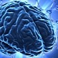 Bilingualism Said to Protect the Brain Against Aging