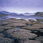 Billions of Tons of Nitrogen and Carbon Are to Escape the Arctic Permafrost