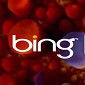 Bing Gets People and Landmark Categories for Snapshot