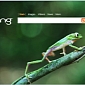 Bing Gets Video Background in Australia and the UK