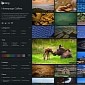Bing Turns Five, Microsoft Rolls Out Huge Wallpaper Gallery