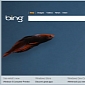 Bing’s Social Search to Evolve Soon, Microsoft Says