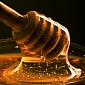 Bioengineered Honey Cures Infections, Heals Wounds