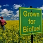 Biofuel Proved to Be Overrated