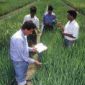 Biotechnology is Among the Key Forces Reshaping World Agriculture