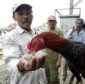 Bird Flu to Mutate among Indonesian Family