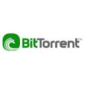 BitTorrent Represents the Internet