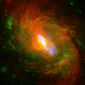 Black Hole Winds Shape Entire Galaxies