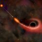 Black Holes Make Stars Commit Suicide
