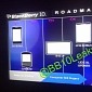 BlackBerry 10’s 2013 Roadmap to Include B10, R10 and U10