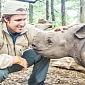 Blind Baby Rhino Rescued After Being Seen Bumping into Things
