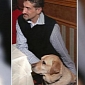 Blind Passenger Kicked Off U.S. Airways Flight over Guide Dog