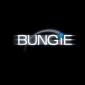 Blizzard Could Offer Bungie MMO Advice
