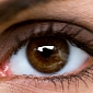 Blood Vessels in the Eye Indicate IQ, Potential Mental Deficits