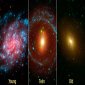 Blue Galaxies Are Younger