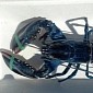 Blue Lobster as Rare as 1 in 2 Million Caught Off the Coast of Maine, US