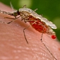 Bodysuit Against Malaria Created