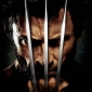 Bootleg and Official Versions of ‘Wolverine’ Are Identical