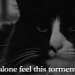Bored Existentialist Cat Henri Returns for Viral Video