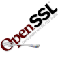 BoringSSL, an OpenSSL Fork for Google Products