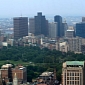 Boston's 4,000 Gas Leaks Put Tree Populations at Great Risk
