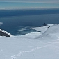 Bout of Warming Affected Antarctica Millions of Years Ago