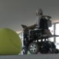 Brain Control and Artificial Intelligence Move Wheelchair
