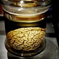 Brain Thief Steals Human Tissue from Museum and Sells It on eBay