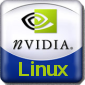 Brand New NVidia Display Driver with XGL Support!