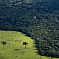 Brazil Wants to Count, Register Each and Every Tree in the Amazon