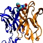 Bristol Experts Create New Protein