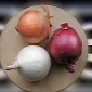 British Co-op Onions Now Come in Recyclable Packaging
