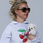 Britney Spears' Puppy Injures Its Leg