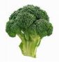 Broccoli, Found to Protect Man's Sexual Health