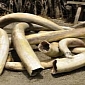 Buddhist Temple to Get Poached Ivory as Present from Sri Lanka