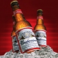 Budweiser Maker Sued for Watered-Down Beer
