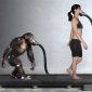 By Walking on Two Legs, Humans Consume 25% of the Energy Necessary for Chimps to Walk Around