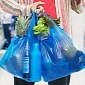 California Bans Single-Use Plastic Bags, Is the First US State Ever to Do So