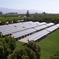California Brags with Its First Gigawatt of Solar Power