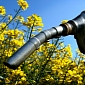 California Energy Commission Announces $24M (€17.7M) for Biofuels Projects