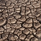 California Is Under a State of Emergency Due to Drought