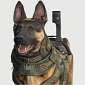 Call of Duty: Ghosts Has Playable Dog Sequences