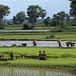 Cambodian Government Leases Out Protected Lands